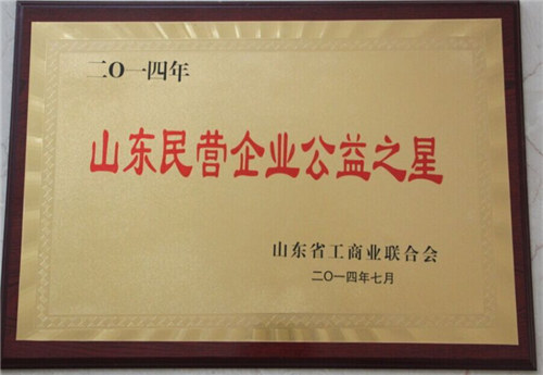 民營(yíng)企業(yè)之星