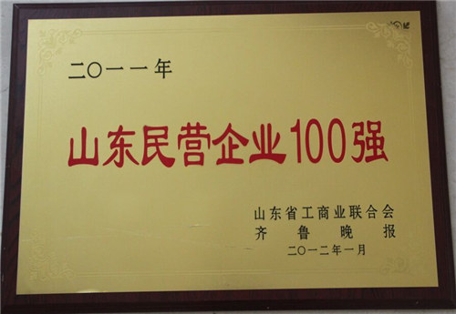山東省民營(yíng)企業(yè)100強(qiáng)