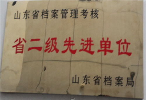 二級(jí)先進(jìn)單位