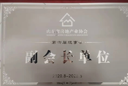 山東省房地產(chǎn)業(yè)協(xié)會(huì)副會(huì)長(zhǎng)單位